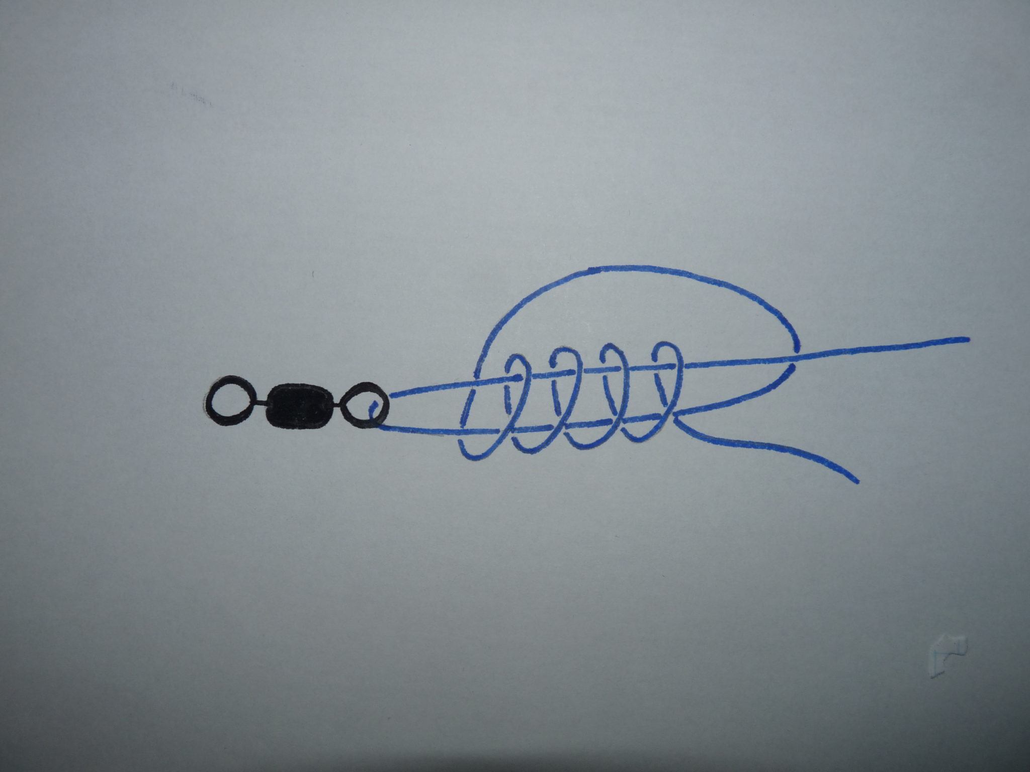 Comment faire un nœud de pêche universel Astuce de Pêche