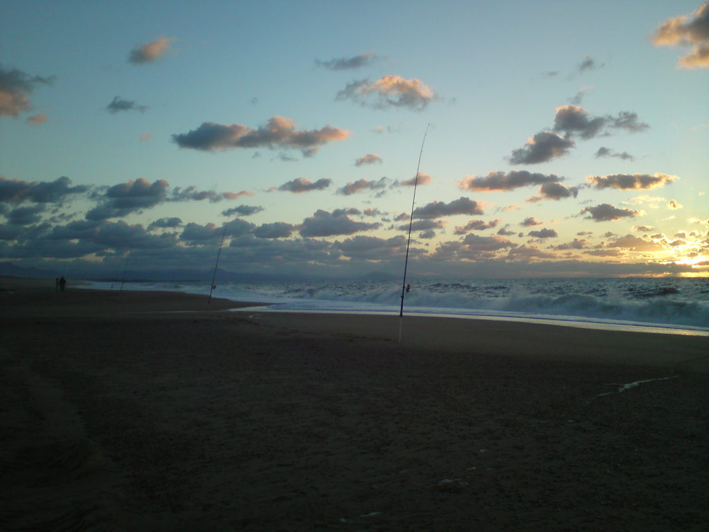 pêche du bar en surfcasting